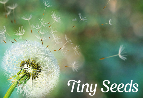 Tiny Seeds - Gewohnheiten nachhaltig etablieren.